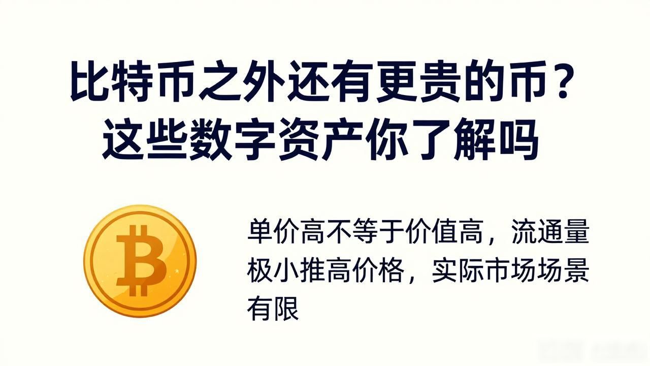 比比特币贵的数字货币_比比特币贵的数字货币_单价超越比特币的币种